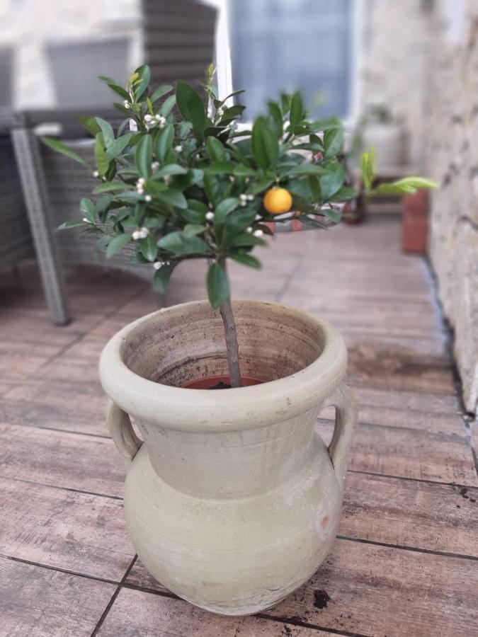 Apartment Sorgenfrei 卡普特 外观 照片