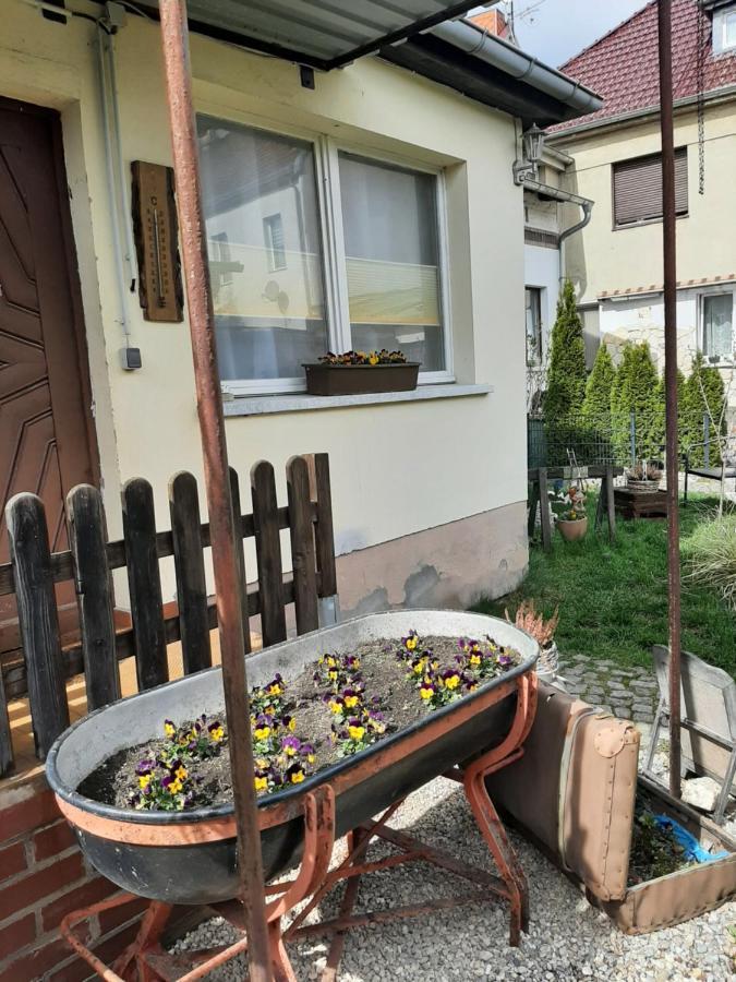 Apartment Sorgenfrei 卡普特 外观 照片